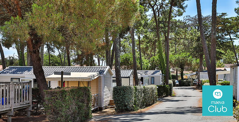 camping acces direct plage Vendée